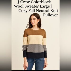 J.Crew Colorblock Wool Sweater Large | Cozy Fall Neutral Knit Pullover
